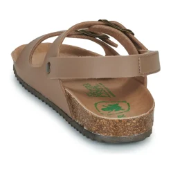 El Naturalista - INCOGNITO