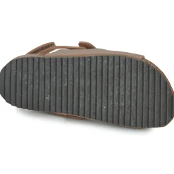 El Naturalista - INCOGNITO