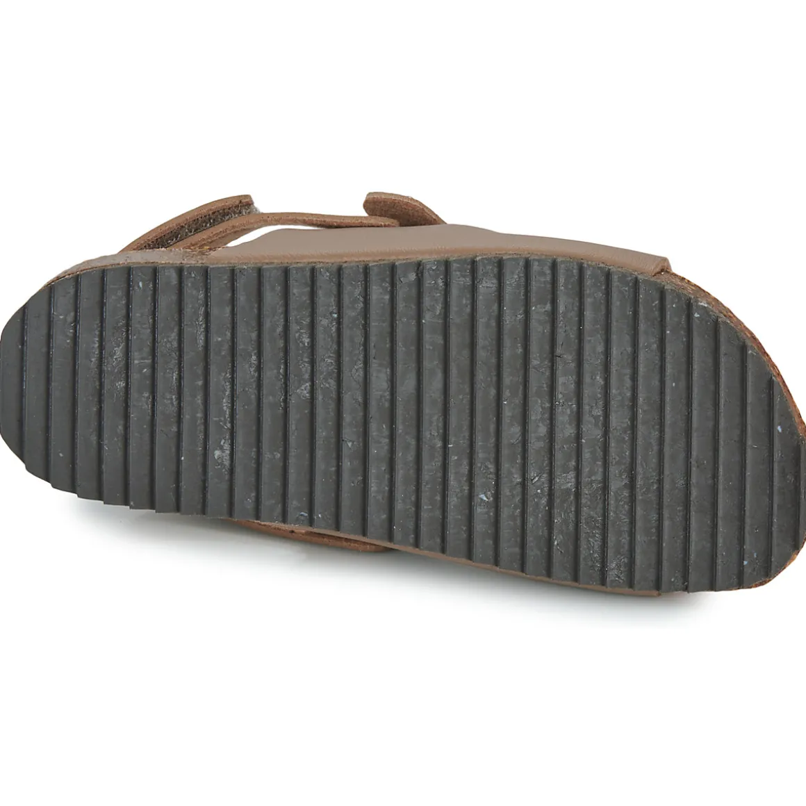 El Naturalista - INCOGNITO