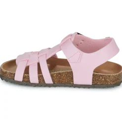 El Naturalista - INCOGNITO