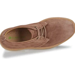 El Naturalista - LUMBIER