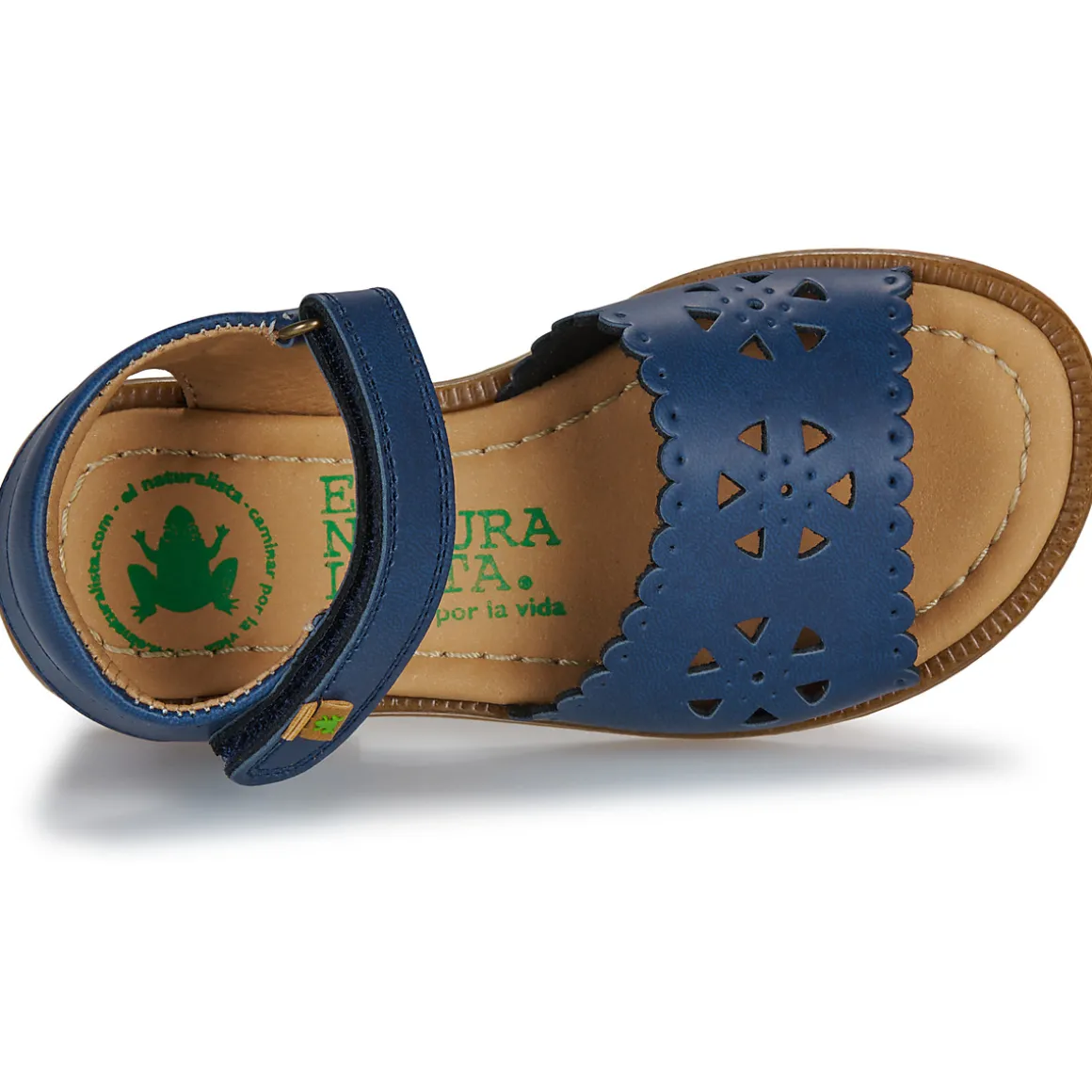 El Naturalista - 15204-MARINO