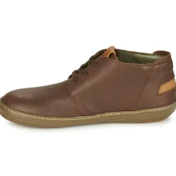 El Naturalista - METEO NF98