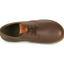 El Naturalista - METEO NF98