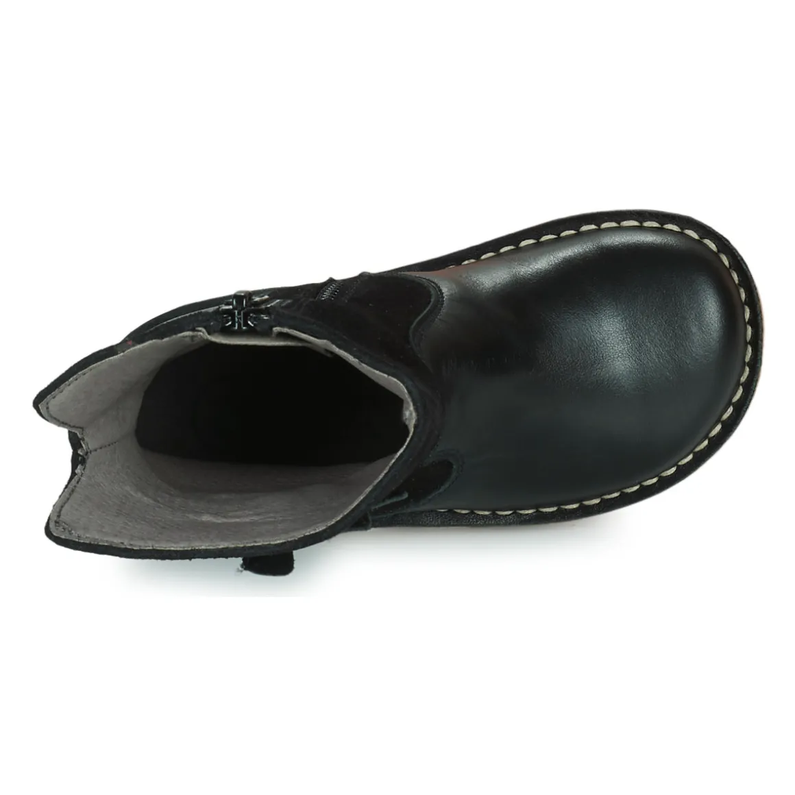 El Naturalista - NASHVILLE