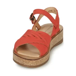 El Naturalista - N5590-CORAL