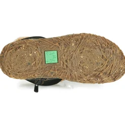 El Naturalista - NIDO N758