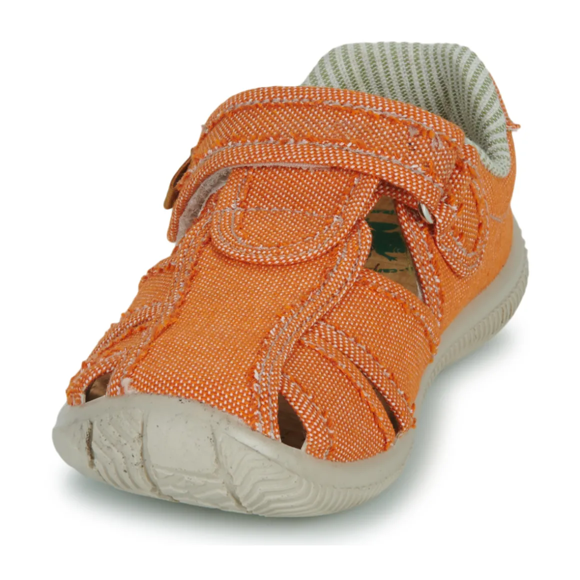 El Naturalista - NT74196