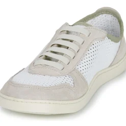 El Naturalista - ORIGEN N5914