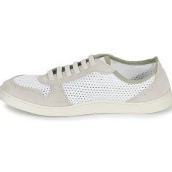 El Naturalista - ORIGEN N5914