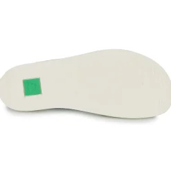 El Naturalista - ORIGEN N5914