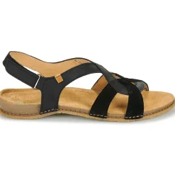 El Naturalista - PANGLAO N5819