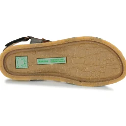 El Naturalista - PANGLAO N5819