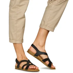 El Naturalista - PANGLAO N5819