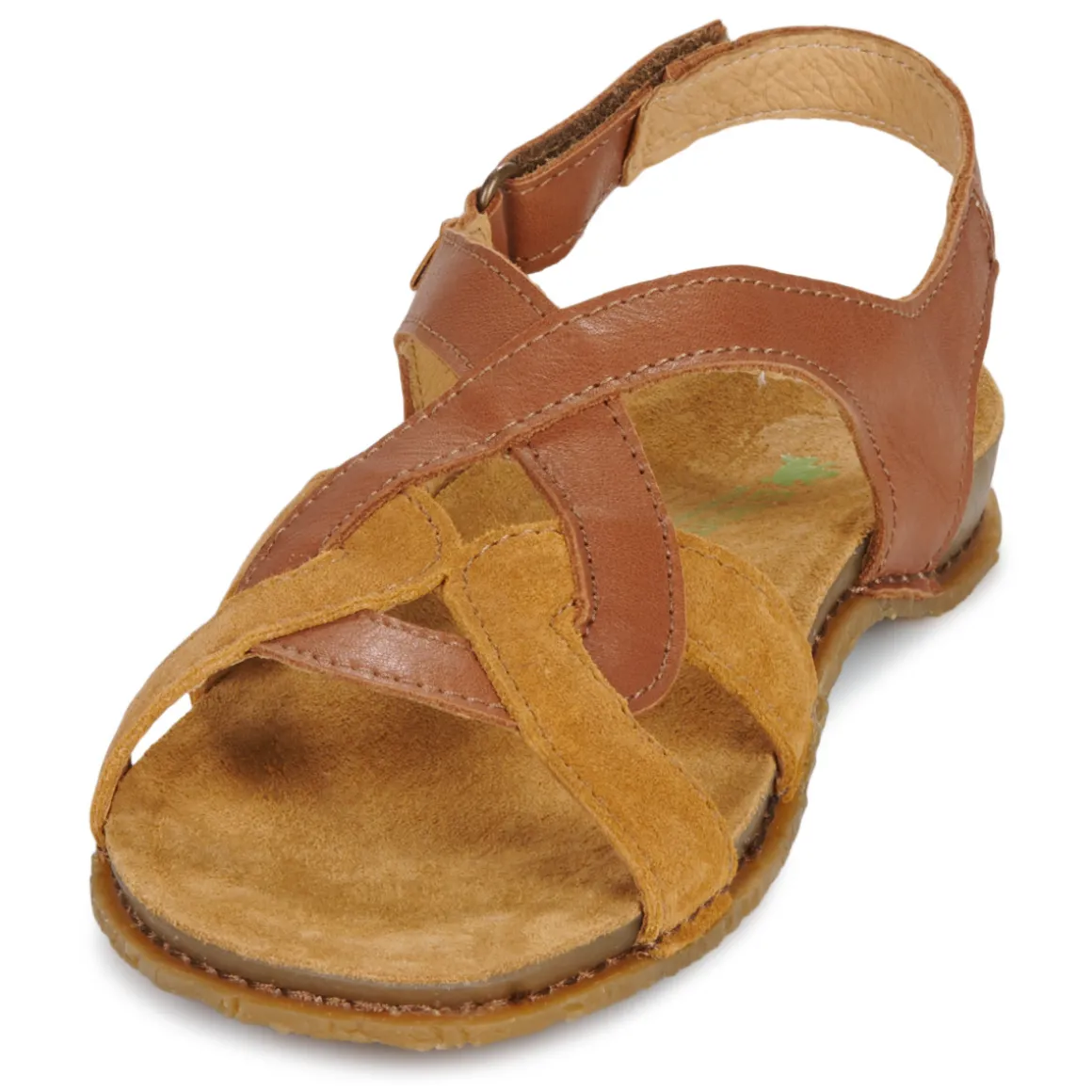 El Naturalista - PANGLAO N5819