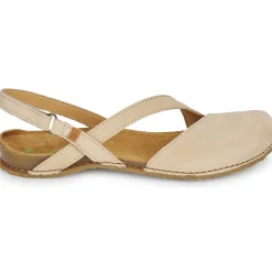 El Naturalista - PANGLAO N5813