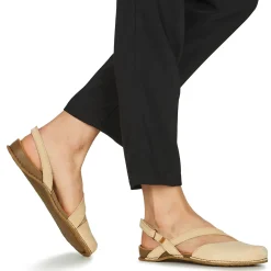 El Naturalista - PANGLAO N5813