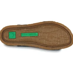 El Naturalista - PANGLAO N5810