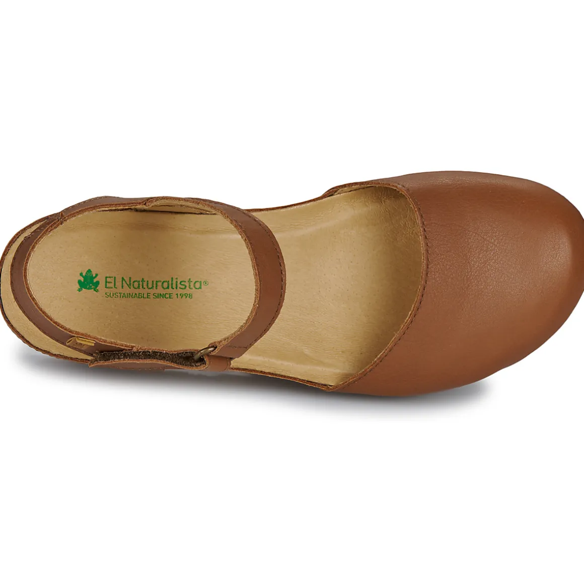 El Naturalista - PICUAL N5850