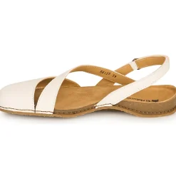 El Naturalista - PLANGLAO