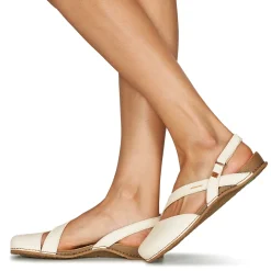 El Naturalista - PLANGLAO