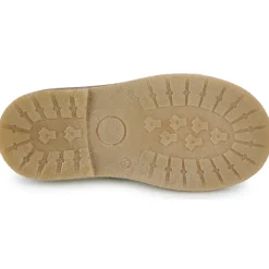 El Naturalista - Polvere