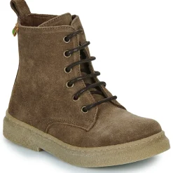 El Naturalista - Polvere