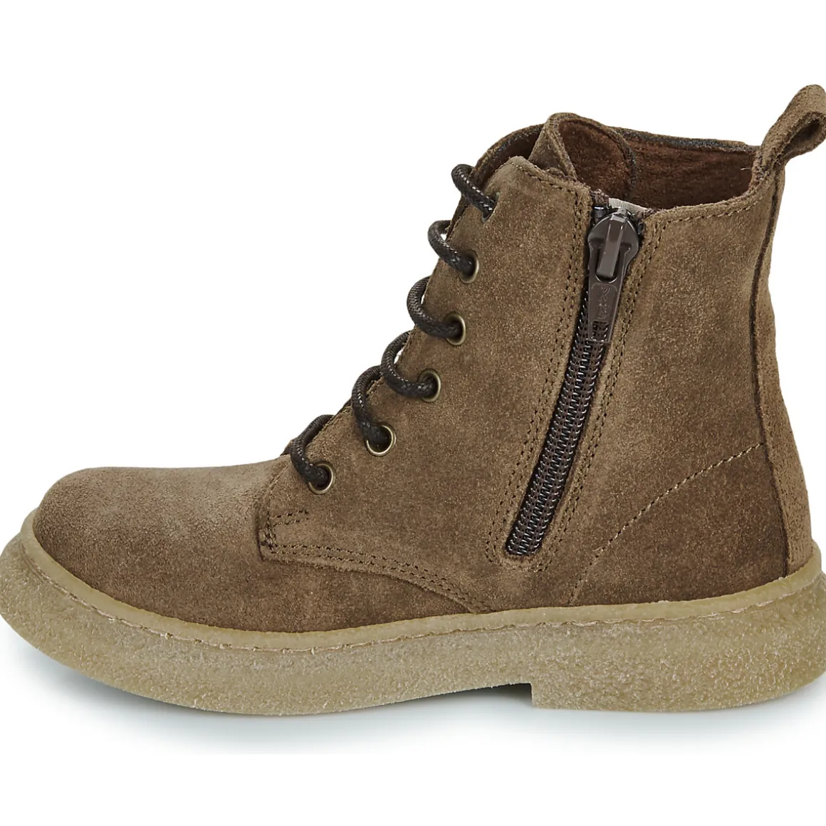 El Naturalista - Polvere