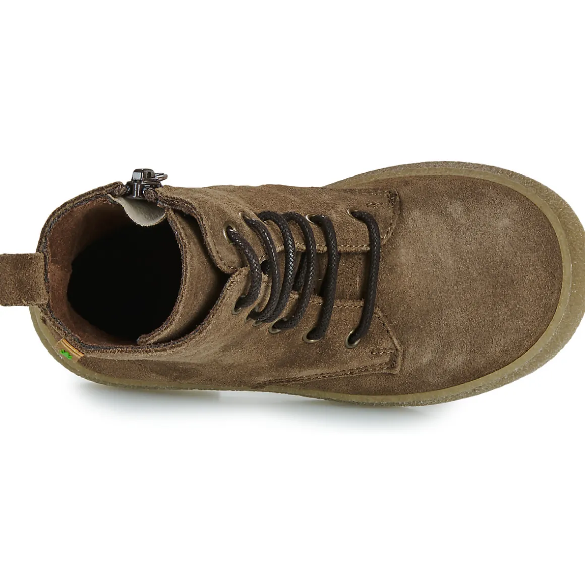 El Naturalista - Polvere