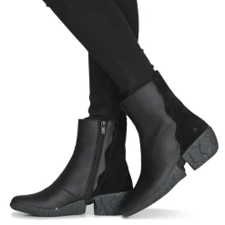 El Naturalista - SOFT