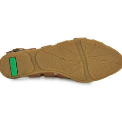 El Naturalista - STELLA N5213