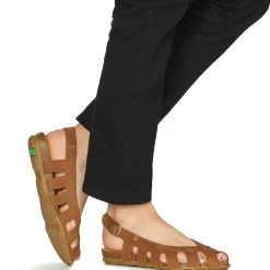 El Naturalista - STELLA N5213