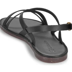 El Naturalista - TULIP N5694