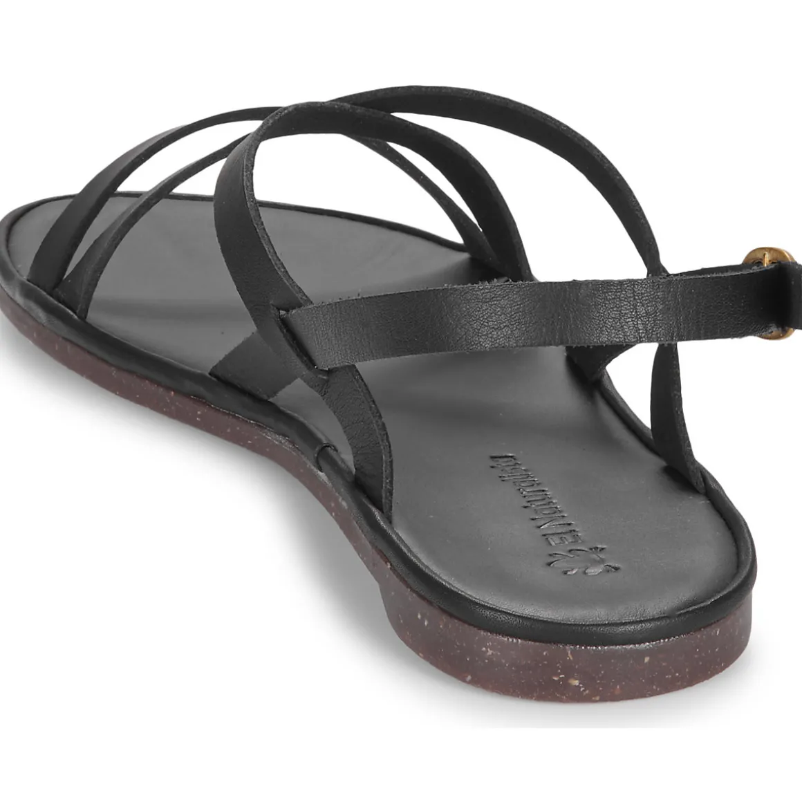 El Naturalista - TULIP N5694