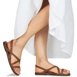 El Naturalista - TULIP N5694