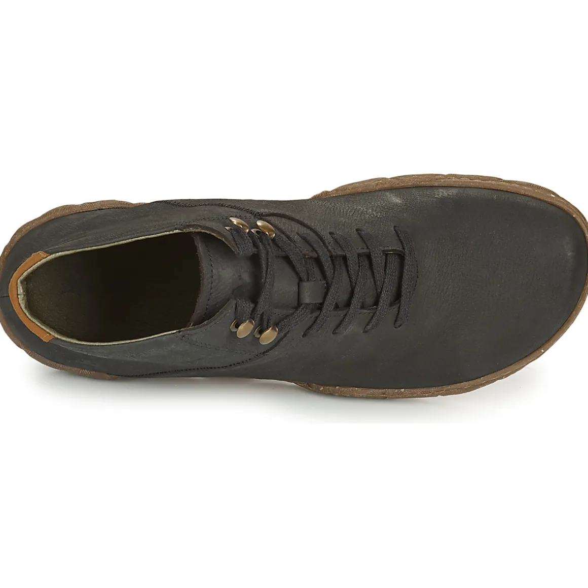 El Naturalista - TURTLE N5083