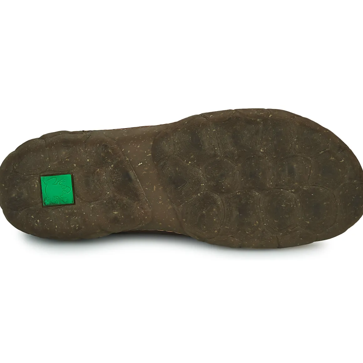 El Naturalista - TURTLE N5083