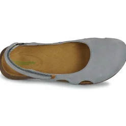 El Naturalista - WAKATAUA N413