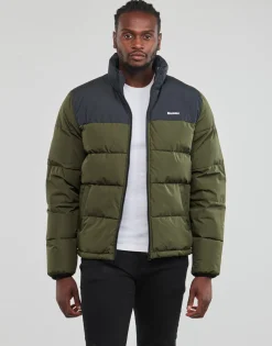 Element - FOREST NIGHT