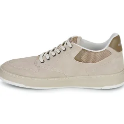 Element - TOPAZ C3 3.0