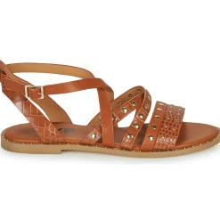 Elue par nous - LESCOT