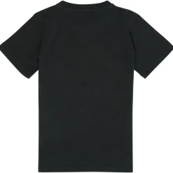 Emporio Armani - Ambroise