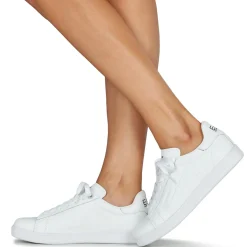 Emporio Armani EA7 - CLASSIC NEW CC