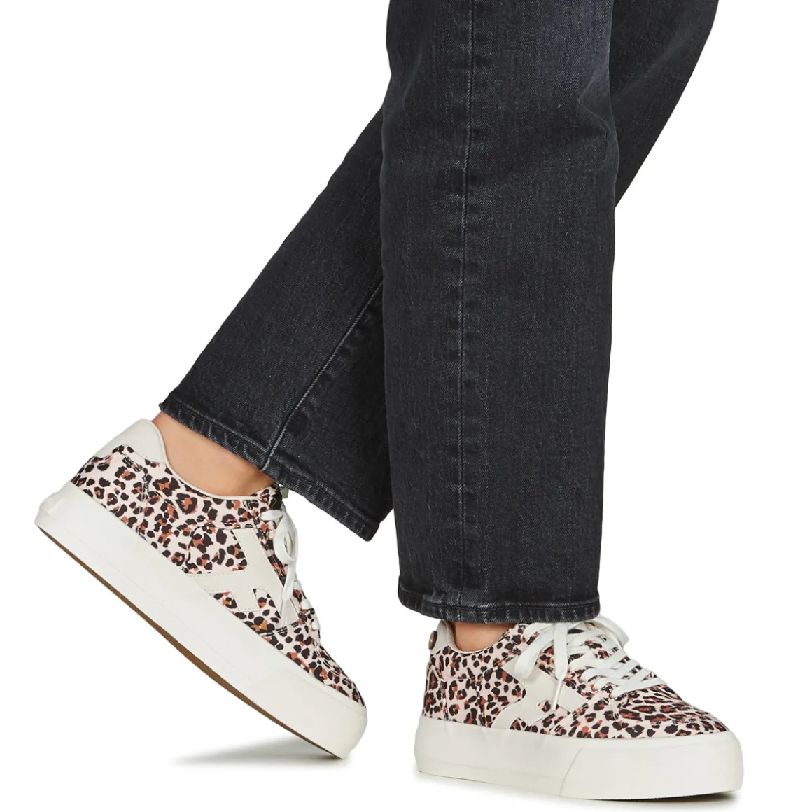 Faguo - WALNUT PLATFORM