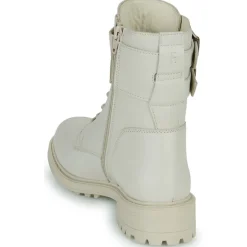 Fericelli - CALLIOPE