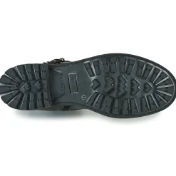 Fericelli - CALLIOPE