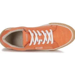 Fericelli - FEERIQUE