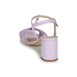 Fericelli - SORBETTO