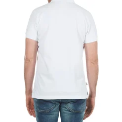 Franklin & Marshall - AYLEN