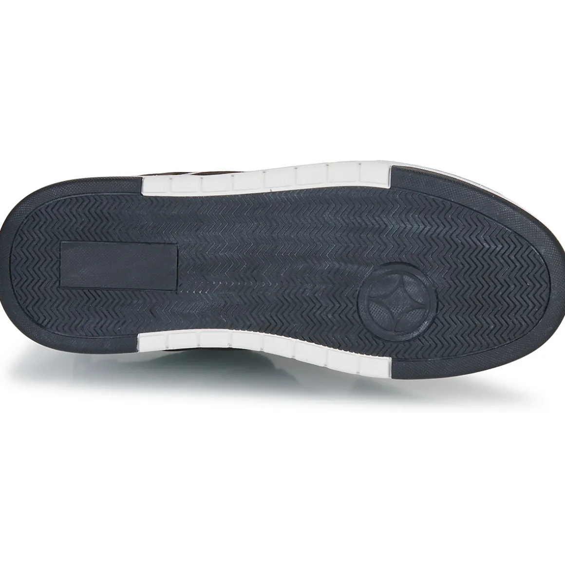 Geographical Norway - OASIS